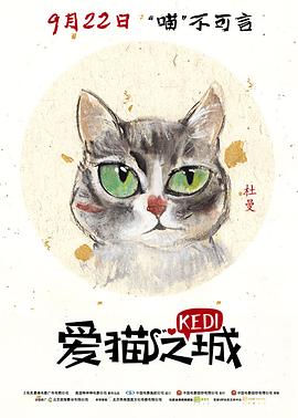 爱猫之城国语